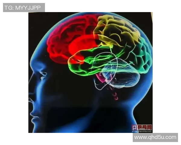 杭州乒乓球队反击打法深度解析与战术应用探讨 杭州乒乓球队反击打法深度解析与战术应用探讨