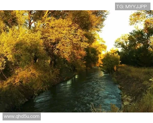 山形山神与内心的对话探索自我与自然的和谐之路