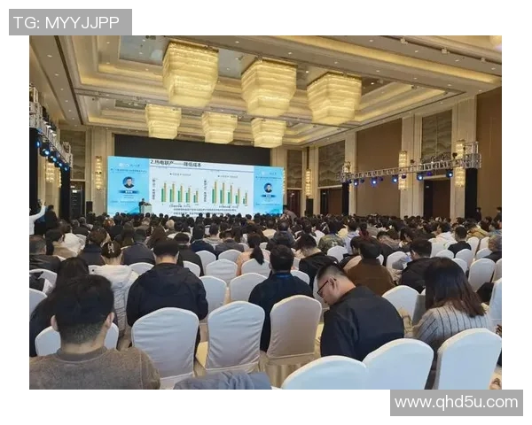 布洛马波对决精彩回顾分析及未来发展趋势探讨