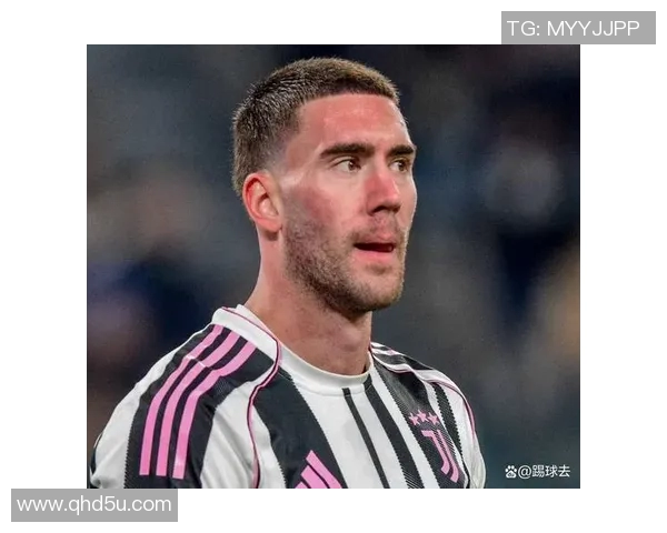 弗拉霍维奇：从新星崛起到足坛巨星的精彩旅程与未来展望