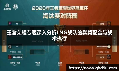 王者荣耀专题深入分析LNG战队的默契配合与战术执行