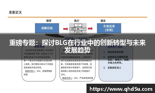 重磅专题：探讨BLG在行业中的创新转型与未来发展趋势